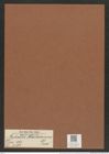 Auliscus macraeanus Grev. (de-Toni-Nr.: Genus 171, Species 4376) Zeichnungen Sammlung Grunow Mappe 04326 (Herbarium_W_Grunow_drawings_Folder_04326)
